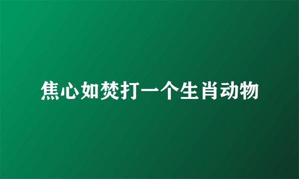 焦心如焚打一个生肖动物