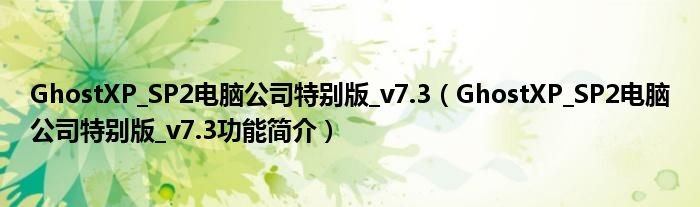 GhostXPSP2电脑公司特别版v73GhostXPSP2电脑公司特别版v73功能简介