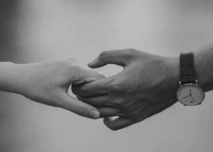 所以你分得清爱情转移和富士山下吗什么意思