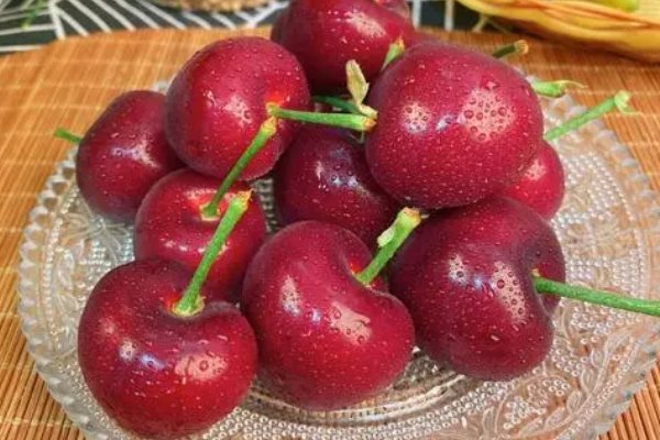 车厘子品种排名前十