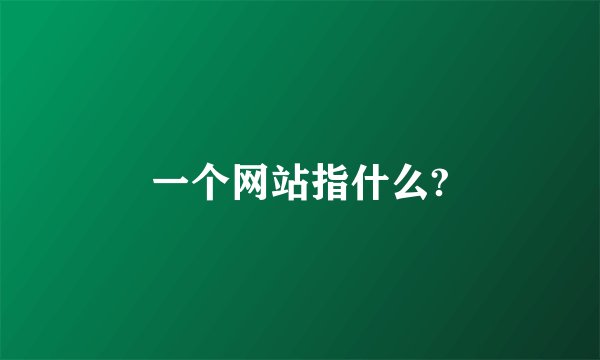 一个网站指什么?