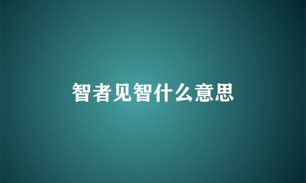 智者见智什么意思