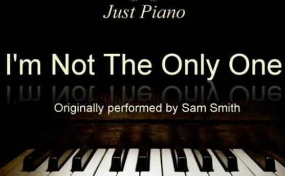 not only. but also.什么意思？