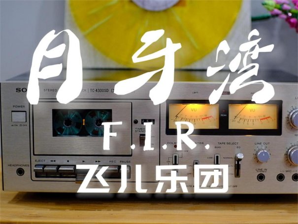 关于月亮的歌曲有哪些 二十首精选