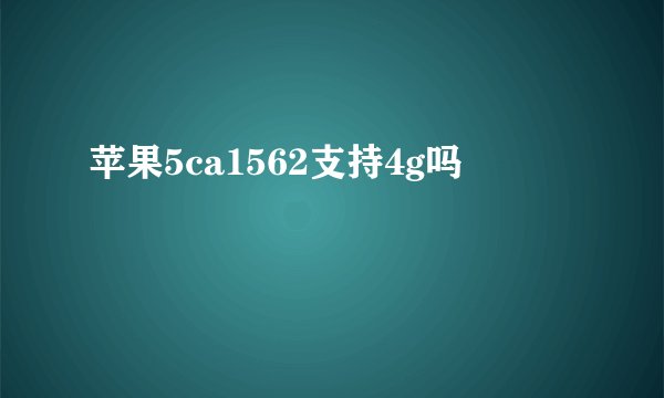 苹果5ca1562支持4g吗