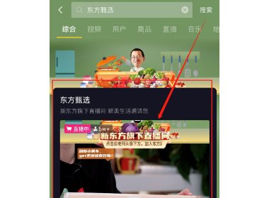 东方甄选直播在哪个平台