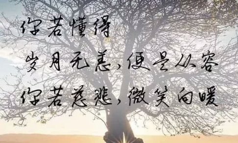 曾经拥有前一句是什么?