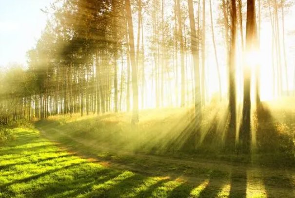 二十世纪什么时候中国获得无毒国的美誉近30年