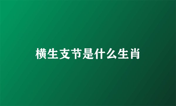 横生支节是什么生肖