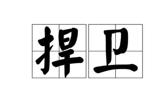 捍卫是什么意思