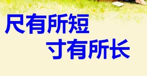 尺有所长寸有所短的意思