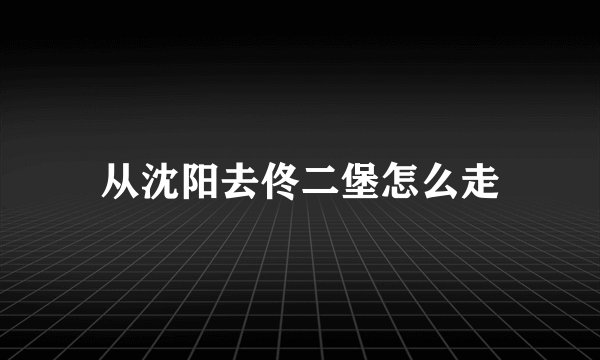 从沈阳去佟二堡怎么走