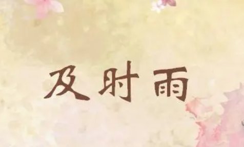 及时雨是什么意思