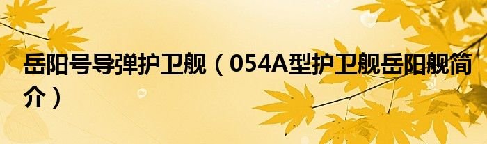 岳阳号导弹护卫舰054A型护卫舰岳阳舰简介