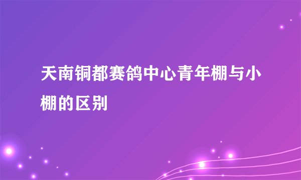 天南铜都赛鸽中心青年棚与小棚的区别