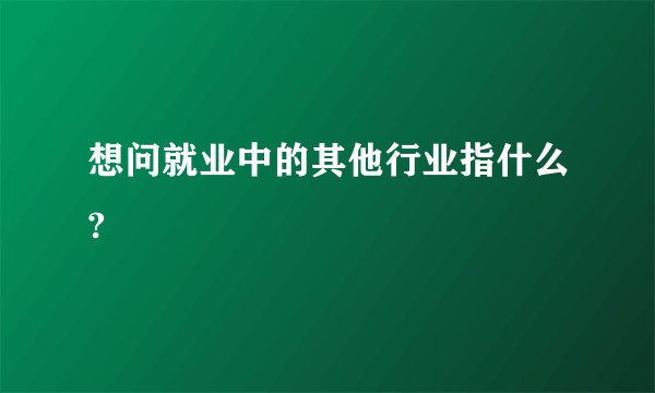 想问就业中的其他行业指什么?
