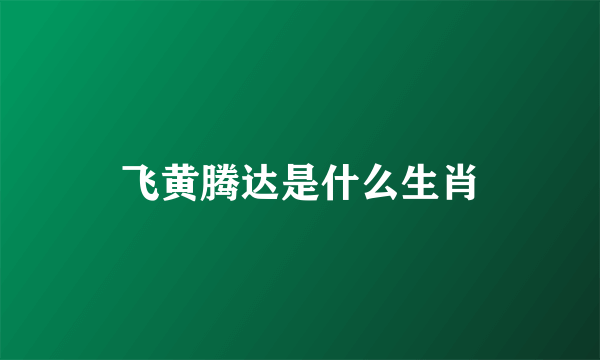 飞黄腾达是什么生肖