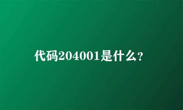 代码204001是什么？
