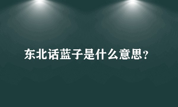 东北话蓝子是什么意思？