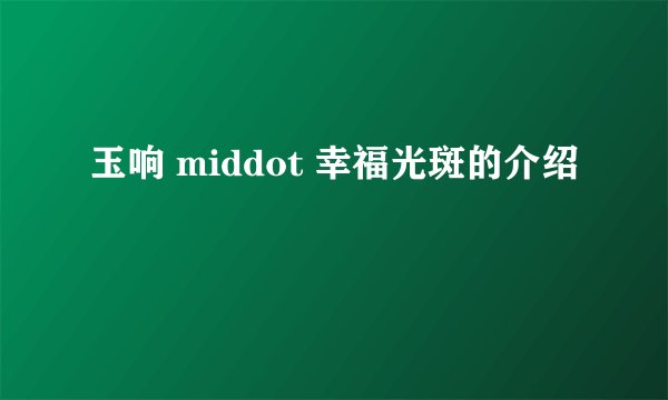 玉响 middot 幸福光斑的介绍