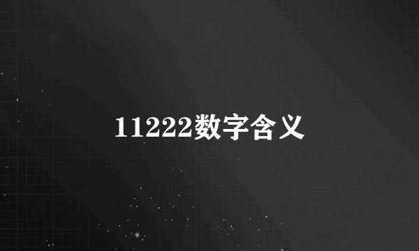11222数字含义