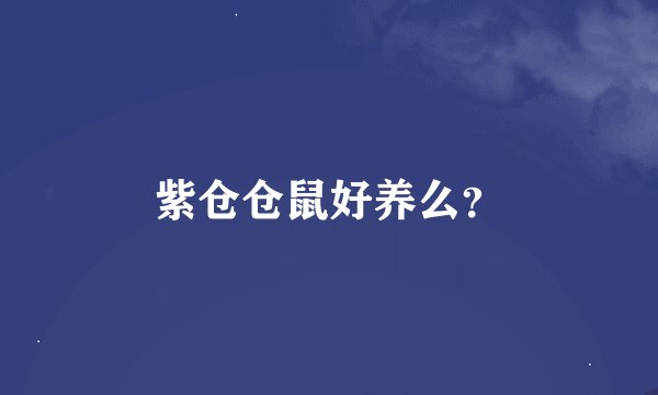 紫仓仓鼠好养么？