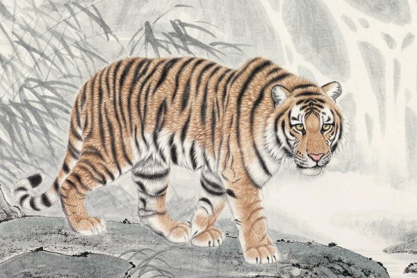 宿地补天是什么动物