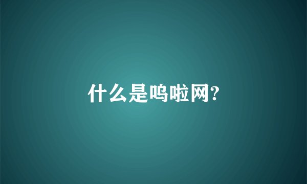 什么是呜啦网?