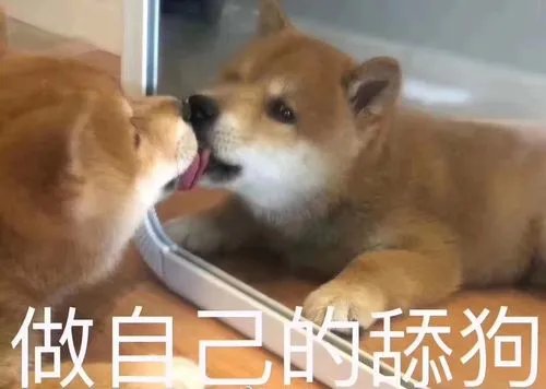 8426468翻译成汉字有哪些