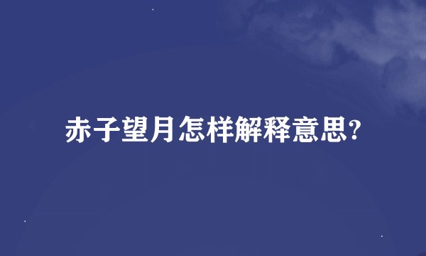 赤子望月怎样解释意思?