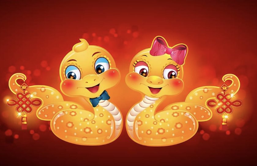 杯中之物是什么生肖