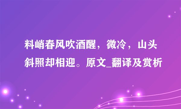 料峭春风吹酒醒，微冷，山头斜照却相迎。原文_翻译及赏析