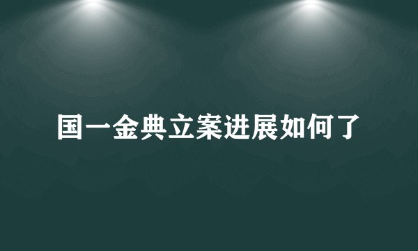 国一金典立案进展如何了