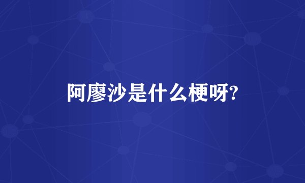 阿廖沙是什么梗呀?