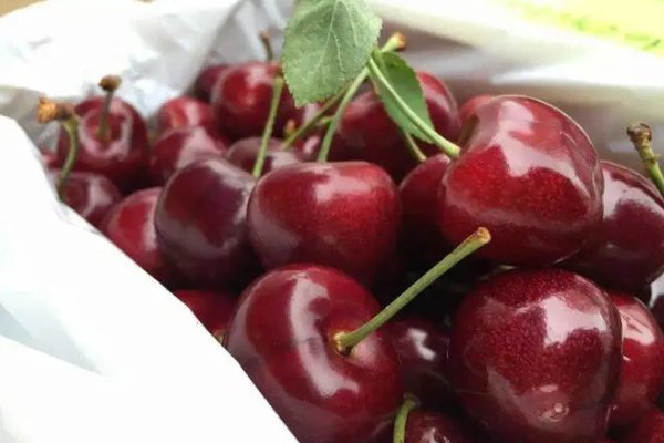 车厘子品种排名前十