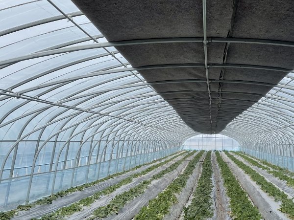 天南铜都青年棚大棚规程