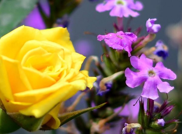 一颗颗，这个量词能组什么词啊？