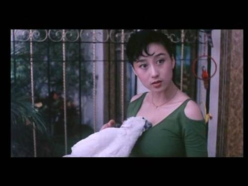 特异功能猩求人的介绍