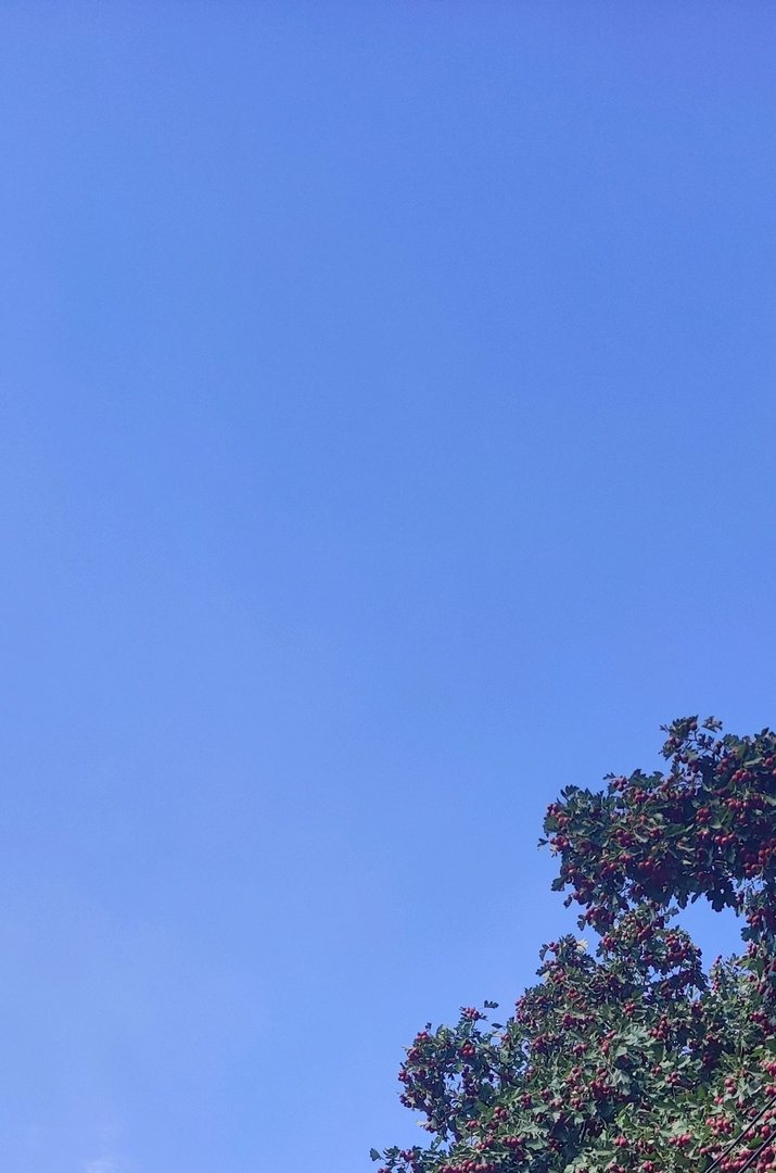 诡异的光是什么意思 诡异的光是什么梗 诡异的