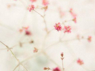 带仙字的女生游戏名字