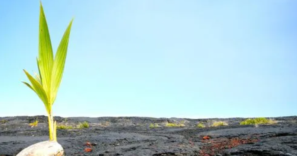 活水是什么意思