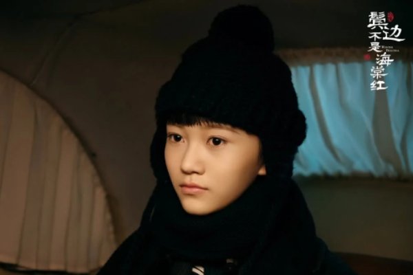 鬓边不是海棠红所有人结局