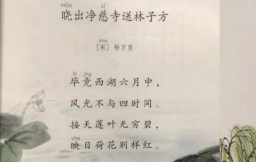 接天莲叶无穷碧的上一句是什么？