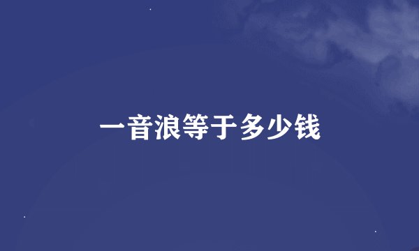 一音浪等于多少钱