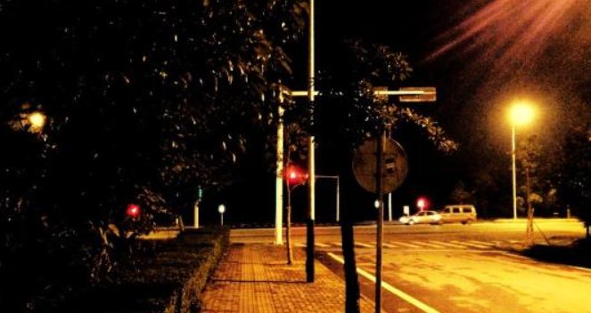 老王的春天在哪里