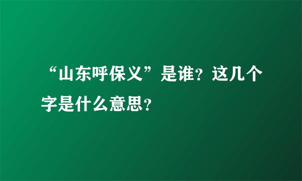 “山东呼保义”是谁？这几个字是什么意思？