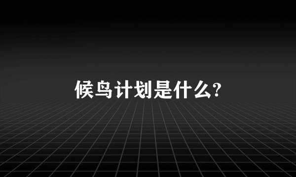 候鸟计划是什么?