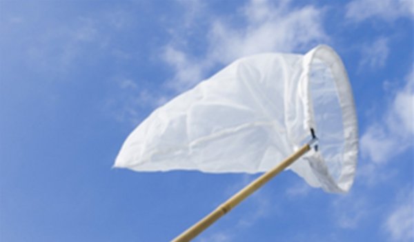 蛐蛐的叫声怎么才能防止？