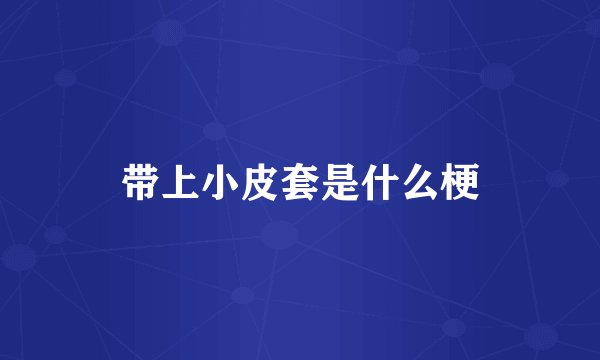 带上小皮套是什么梗