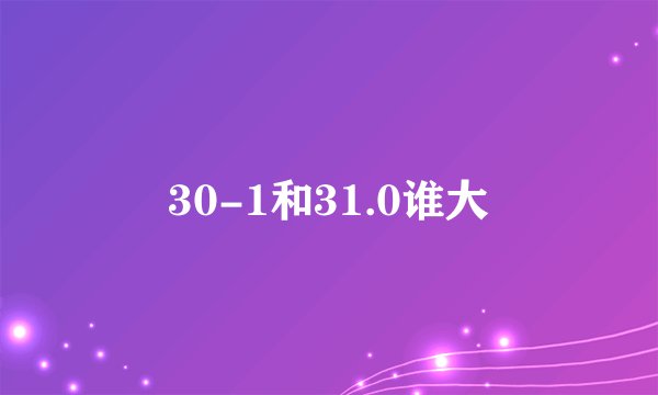 30-1和31.0谁大